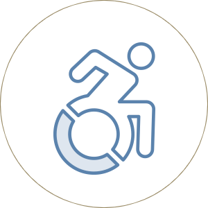 icon showing person in wheelchair